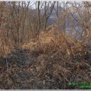 송전길L 이미지