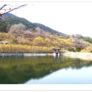 현천마을 이미지