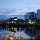 근처 저수지에서~ 이미지