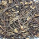 독천낭주골 이미지