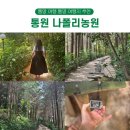 통영 여행 나폴리농원 편백나무숲 통영 여행지 추천