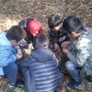 한독유치원 이미지