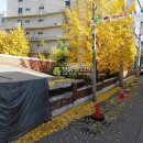 범안로58번길 이미지