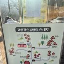 5 | [설날맞이 가족여행]태백고원 자연휴양림 5단지 602호(연산홍) 숙박 후기