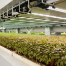 운용농장 이미지