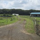 연학목장 이미지