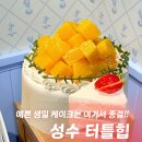 터틀짐 | 뚝섬역 케이크 터틀힙 성수 :: 당일 픽업 가능한 생일 레터링케이크 카페 추천