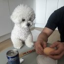신전떡볶이아산배방점