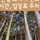 문달랜드