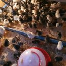 청계슈퍼 이미지