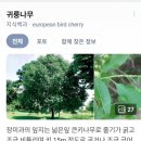 산청동물의료센터 이미지