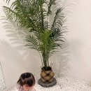 3웨이카페 이미지