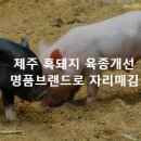 정피엔씨연구소 네이버블로그