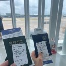 오사카 자유여행 day 1, 2 || 칸데오 호텔 더 타워, 야키니쿠 이치규, 햅파이브 관람차, 모토무라 규카츠