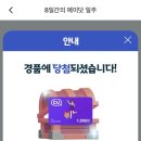 연리돈길 | 오늘일기(207)-231104 (feat.화담숲)🍁🍂