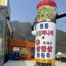 매화상회 이미지