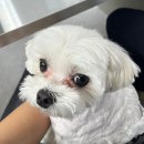 테일러리아 | W21 : 부산 맞춤정장 / 센텀 테일러리아 내돈내산 후기🩶 / 부산 정장대여