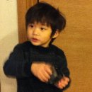 로라리온