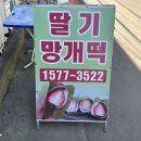 대의오서방의령망개떡 - 3425 | 의령시장 딸기 망개떡 파는곳 , 대의오서방망개떡