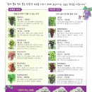 김옥성 농장 이미지