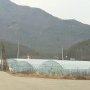 인덕농장 이미지