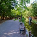 상동시민의강 이미지