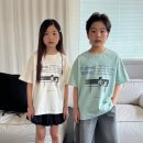 포레스트 이미지