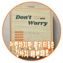 저렴한 강아지 배변패드 추천 졸리젤리 구매 후기 내돈내산이야~