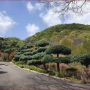 태허정로 이미지