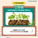 신진종묘농약 네이버블로그