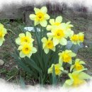 황토한옥펜션 이미지