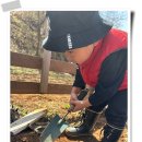 유영농장 이미지