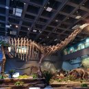 공룡박물관 이미지