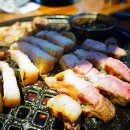 돌리고 제주도야지 이미지