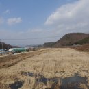 정양늪생태공원 이미지