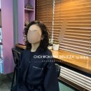 최원화벨레사 네이버블로그