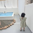 콩콩 이미지