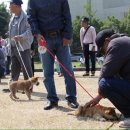 (주)사료회관 이미지