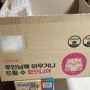 화이트펫# | 고양이정수기 이너프파이브 포세린 펫 정수기 화이트 내돈내산 후기 2개월 아기고양이 물먹이기