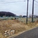 동리 농장 이미지