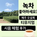 녹차 좋아하세요? 제주 오설록 티뮤지엄 시음 체험 후기!