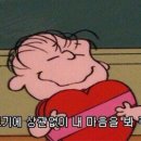 101 이미지