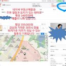 과천시 주암동 토지투자 이미지