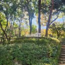 남산근린공원_R | [서울 가볼만한 곳] 남산자락숲길 | 서울 둘레길 산책 코스 추천 | 낮 밤 직접 다녀온 후기