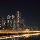 도림천 산책로3 이미지