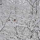 향교공원 이미지