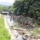 꿈꾸는숲민박 이미지