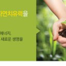 죽림식품