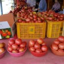 진하농장 이미지