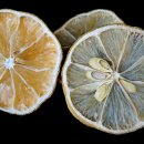 지우한의원 이미지